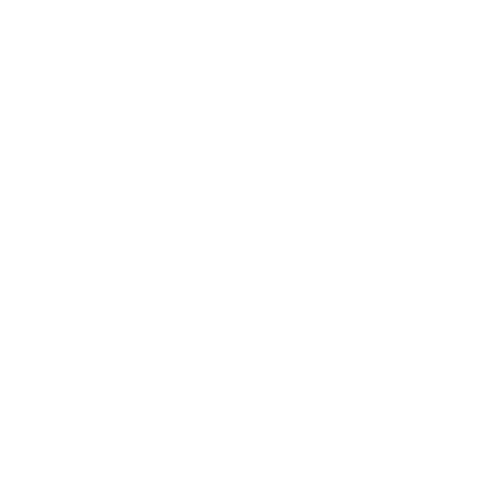 Spinal Networx Logo
